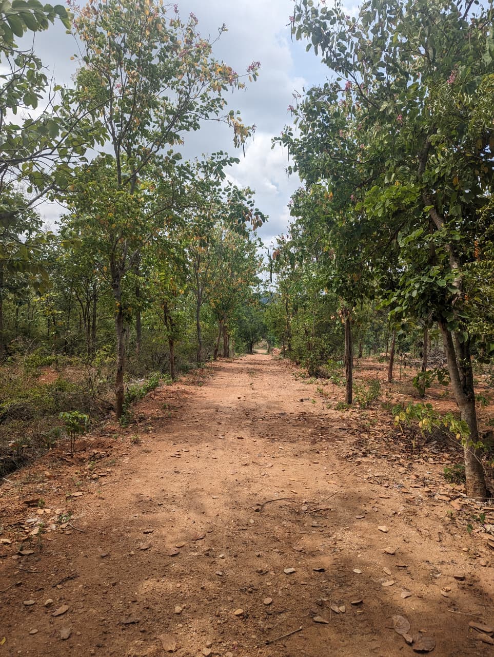 Oroland site pathway